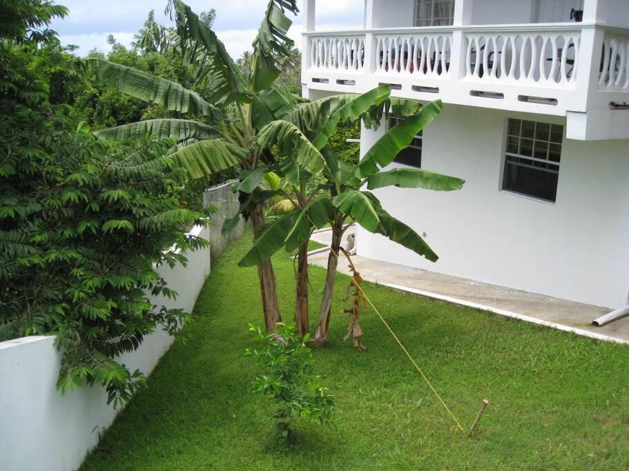 Selen'S Apartment In Ti Rocher Micoud Saint Lucia Eksteriør bilde